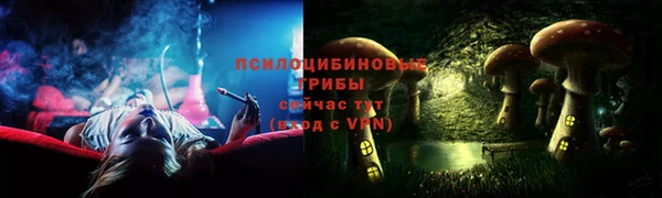 наркотики Каменногорск
