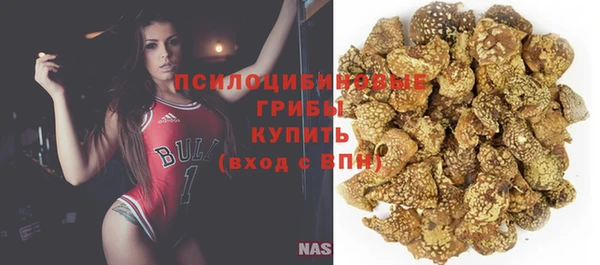 MESCALINE Каменка