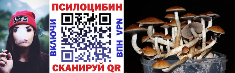 Галлюциногенные грибы GOLDEN TEACHER  Купить закладки  Сальск 